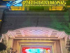 -碧桂园凤凰城酒店(南京店)