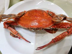 -日月昇渔家菜·海肠捞饭·大连海鲜(星海公园店)