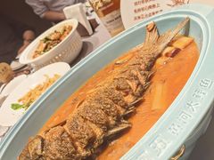 -阿五黄河大鲤鱼(英协路店)