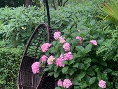 -九月里.自由花园餐厅