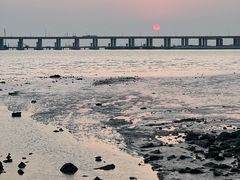 -宝安西湾红树林湿地公园