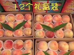-南汇新场正宗水蜜桃采摘