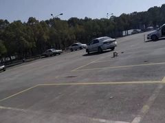 -安飞驰驾校·学车连锁(金高店)