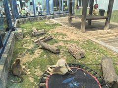 -大连森林动物园