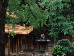 -普陀山风景名胜区-法雨禅寺