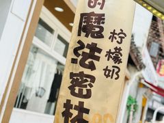 -猫的魔法密林(衣裳街店)