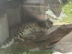 -青藏高原野生动物园