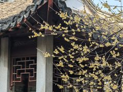 -秋霞圃