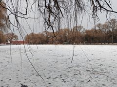 -北陵公园