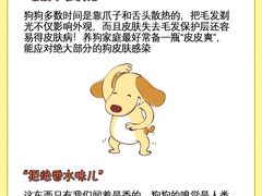 -北京观赏动物医院·24小时大型综合·猫专科·异宠专科