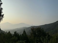 -大觉寺-停车场