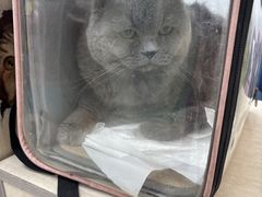 -北京观赏动物医院·24小时大型综合·猫专科·异宠专科
