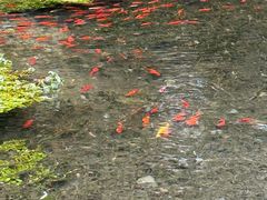 -水磨沟公园
