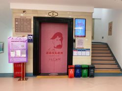 -北京安琪