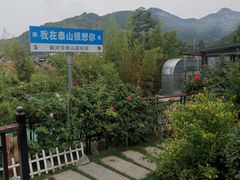 -蘇河湾·新鲁菜·泰山宴(泰山店)