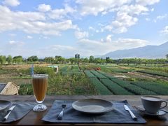 -翠田Green Field Kitchen