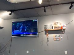 -猫头鹰炸鸡