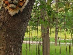 -合肥滨湖国家森林公园