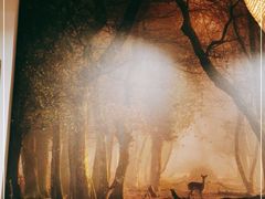 -红小满休闲餐厅(十全街店)