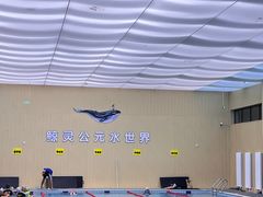 -鲸灵公元游泳中心