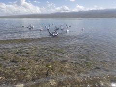 -青海湖国家重点风景名胜区