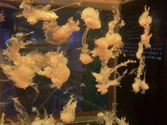 -多彩贵州城极地海洋世界