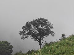 -灵山
