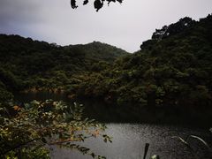 -梧桐山风景名胜区