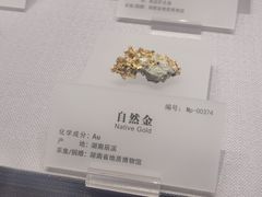 -湖南省地质博物馆