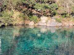 -石台牯牛降景区