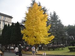 -四川大学(望江校区)