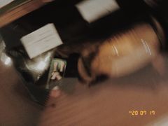 -二沙岛-广东华侨博物馆