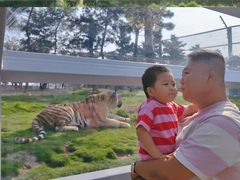 -西霞口神雕山野生动物世界