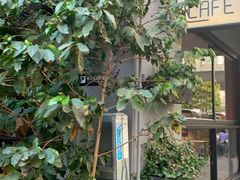 -转山咖啡(松柏社区店)