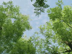 -洨河生态公园