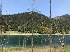 -武陵山森林公园