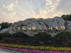 -北京西山国家森林公园