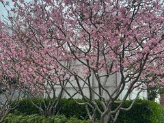 -徐家汇源景区-衡山公园