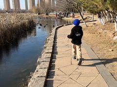 -前关湿地公园