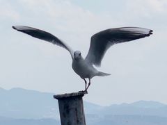-滇池海埂公园