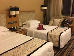 -长沙小天鹅戴斯酒店