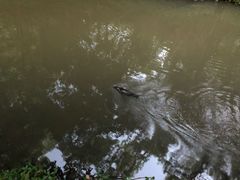 -热带雨林自然公园