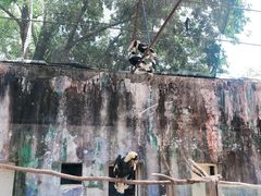-杭州野生动物世界