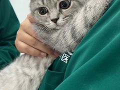 -心仪动物医院·牙专科·肿瘤·心脏科(西客站院)