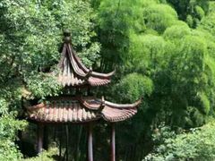 -夏霖九天银瀑风景区