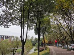 -西南政法大学(渝北校区)