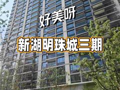-新湖明珠城