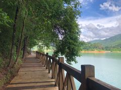 -广州市流溪河国家森林公园
