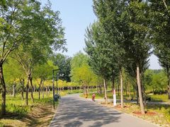 -东郊湿地公园