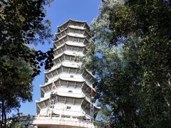 -深圳国际园林花卉博览园